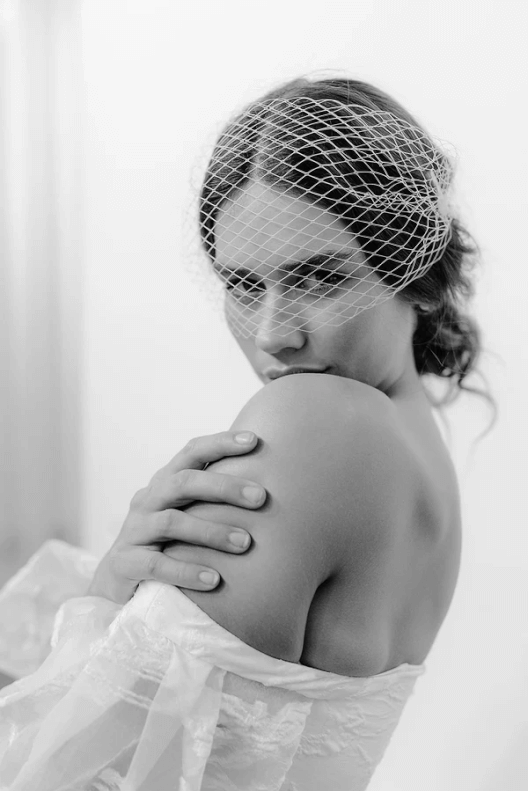 <hr id="null">Birdcage Veil